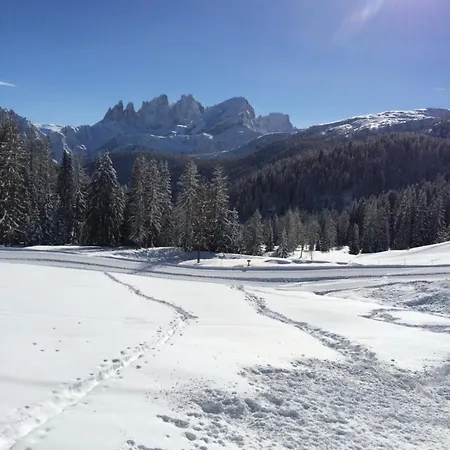 Apartmán Dolomiti Dream 1 Falcade